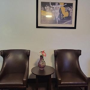 King Room Non-Pet Friendly